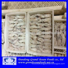 Block frozen baby squid-loligo